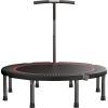 Mini Trampoline for Adults;  Safety Indoor Rebounder Trampoline for Kids;  Folding Small Trampoline with Storage Bag for Home Exercise Fitness;  Max L